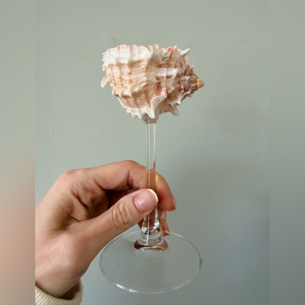 Set of 9 -Pink Sea Shell Martini Cocktail Glass - Picture 3 of 3